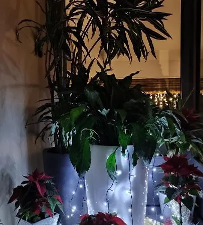 Sport Manca Garni Ξενοδοχείο 3*