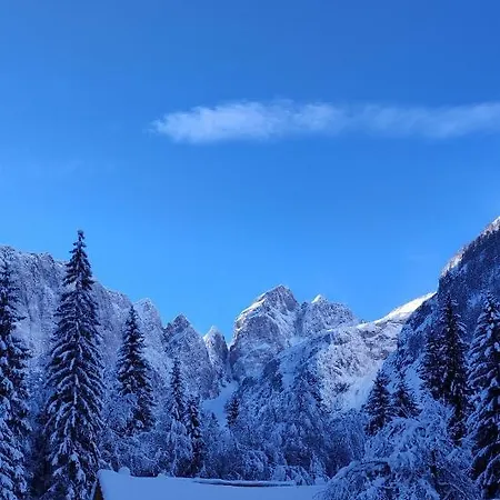 Sport Manca Garni 3* Radovljica