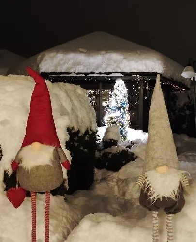 Sport Manca Garni 호텔