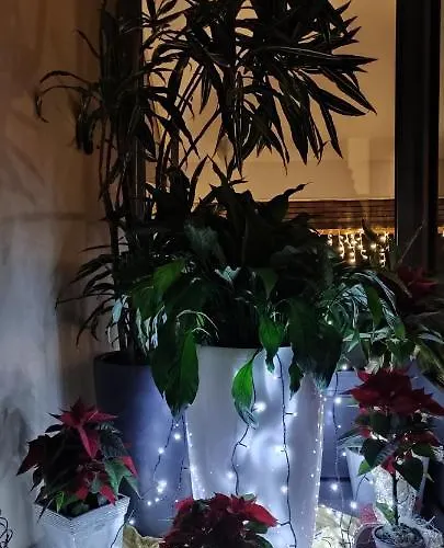 Sport Manca Garni 호텔 3*