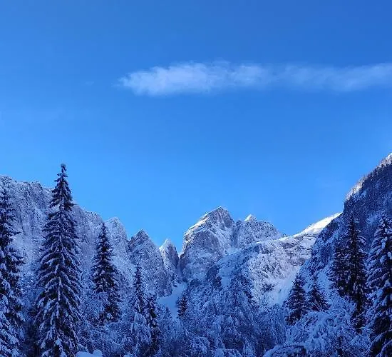 Sport Manca Garni 3* Radovljica