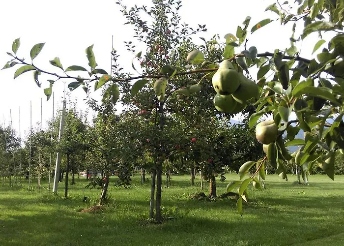 Sport Manca Garni 호텔 라도블리차